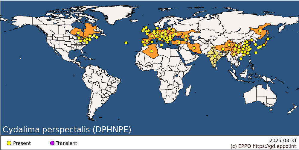 Cydalima perspectalis (DPHNPE)[World distribution]| EPPO Global ...